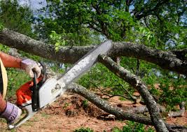  Groveville, NJ Tree Removal and Landscaping Services Pros